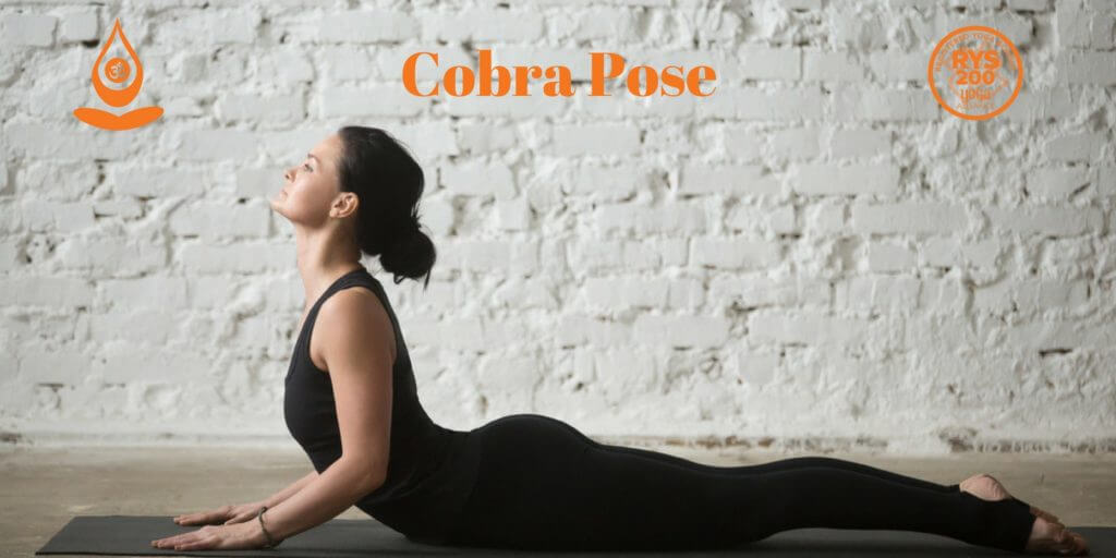 Cobra Pose or Bhujangasana - IYMS Rishikesh