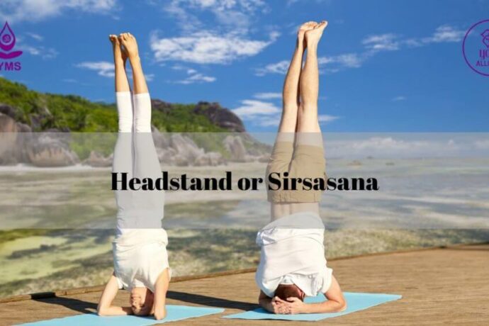 Headstand or Sirsasana