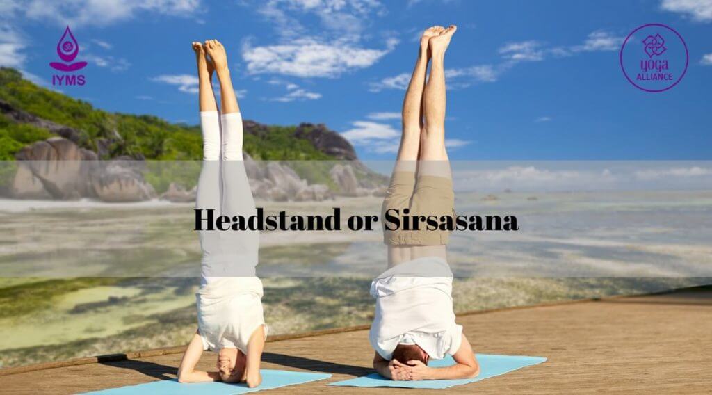 Headstand or Sirsasana