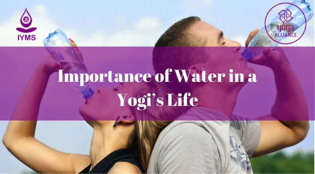 Importance of Water in a Yogi’s Life