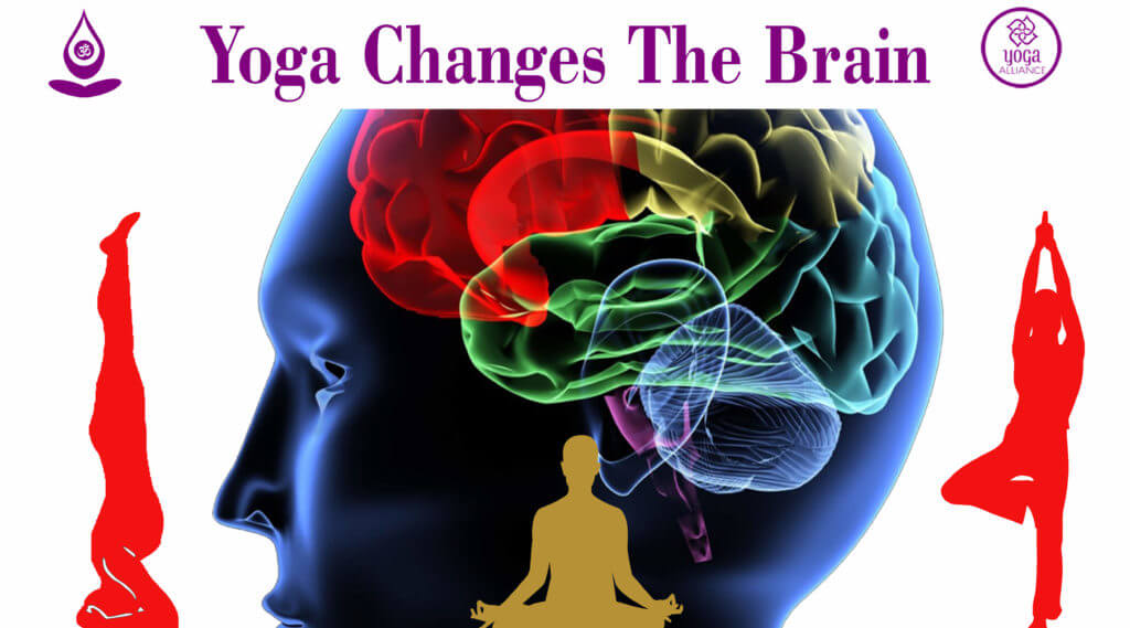 Yoga Changes the Brain
